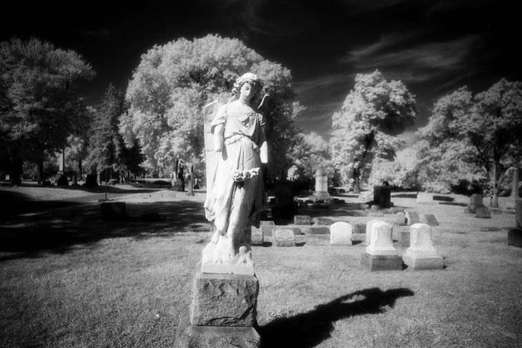 Elmwood - by chuckv