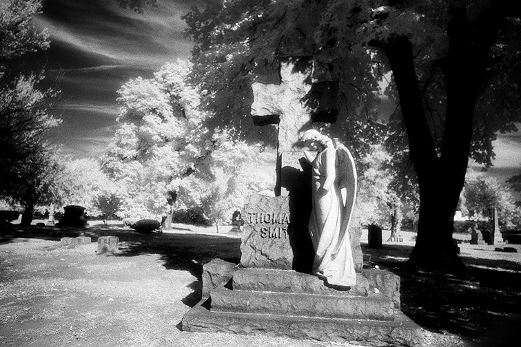 Elmwood - by chuckv