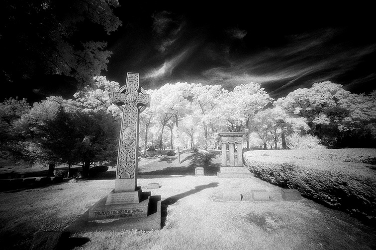 Elmwood - by chuckv