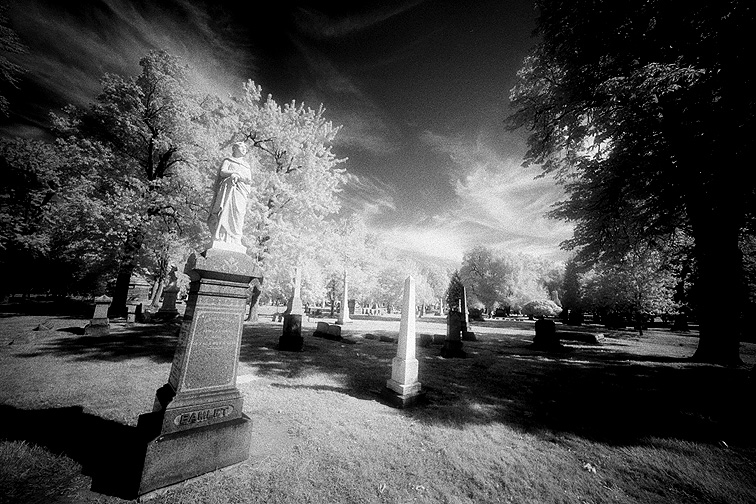 Elmwood - by chuckv