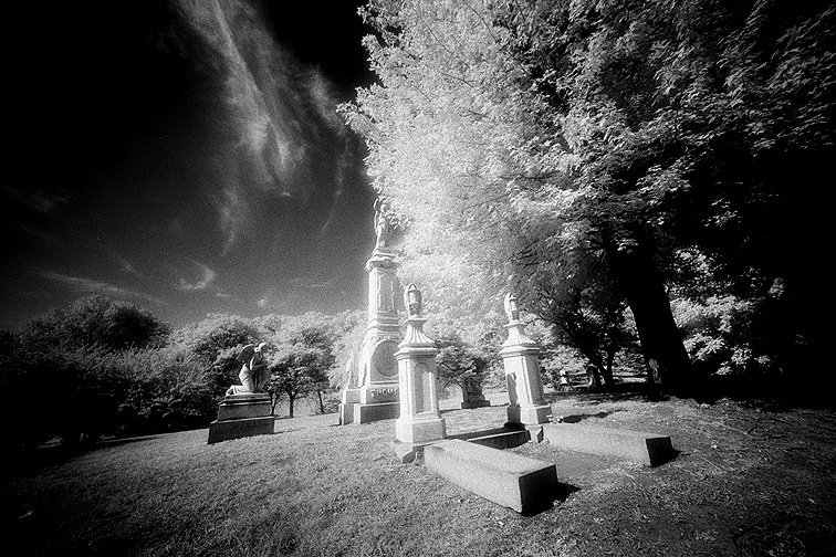 Elmwood - by chuckv