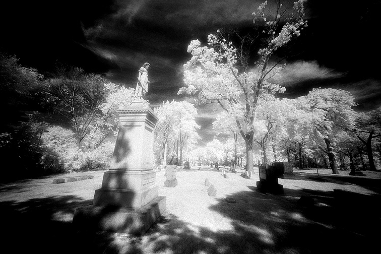Elmwood - by chuckv