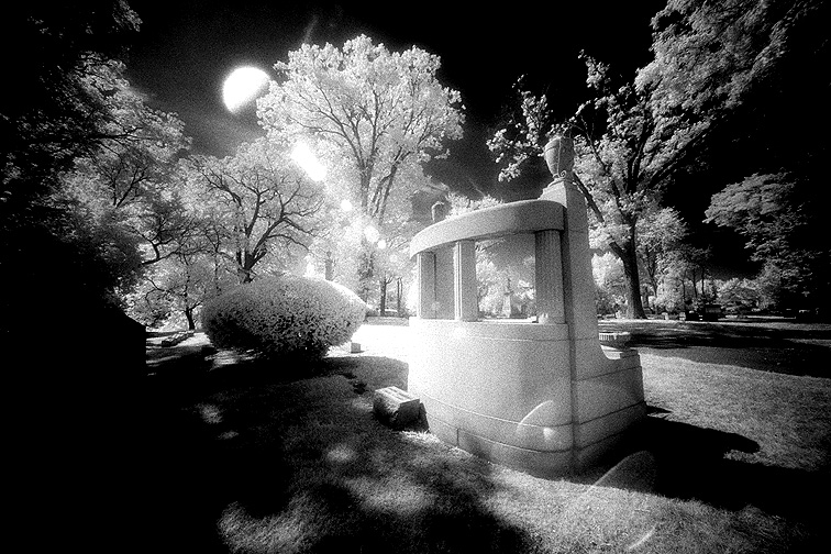 Elmwood - by chuckv