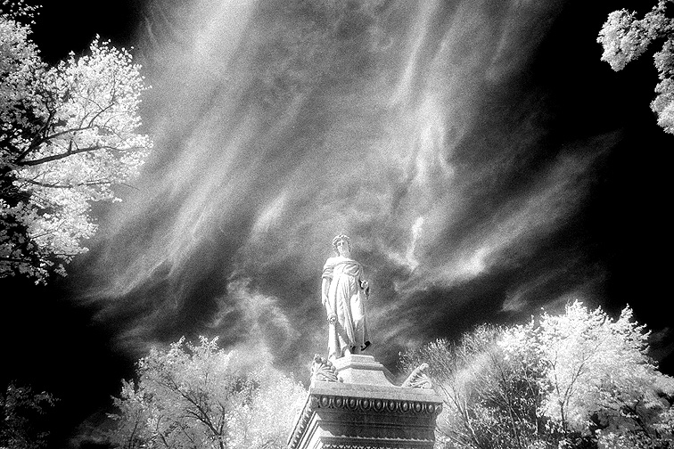 Elmwood - by chuckv
