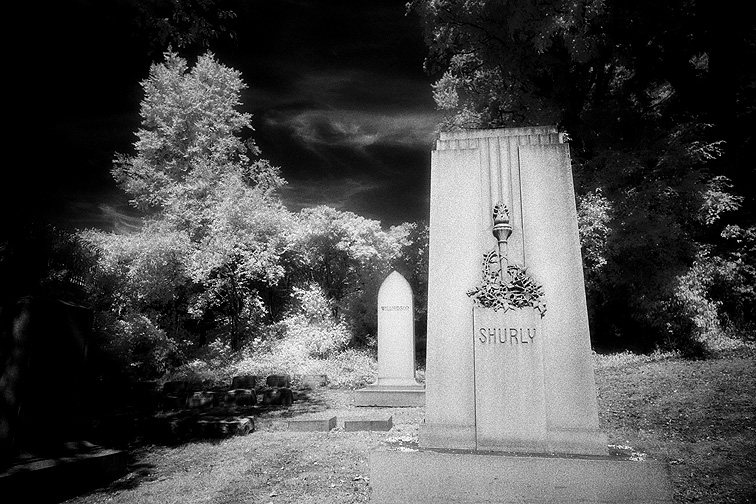 Elmwood - by chuckv