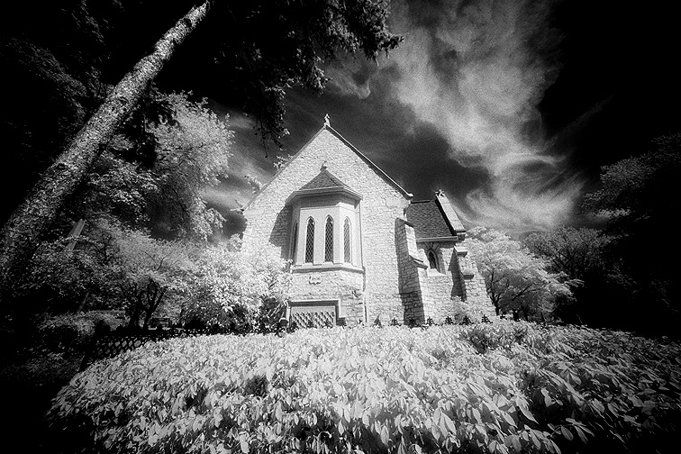 Elmwood - by chuckv