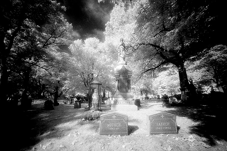 Forest Hills - by chuckv