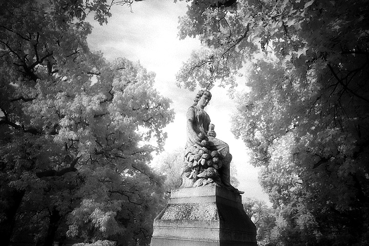 Greenlawn - by chuckv