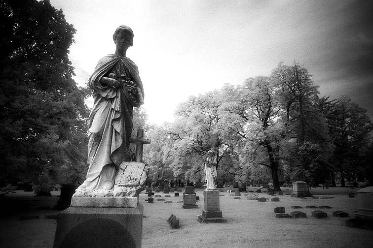 Greenlawn - by chuckv
