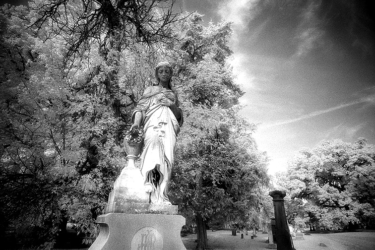 Greenlawn - by chuckv