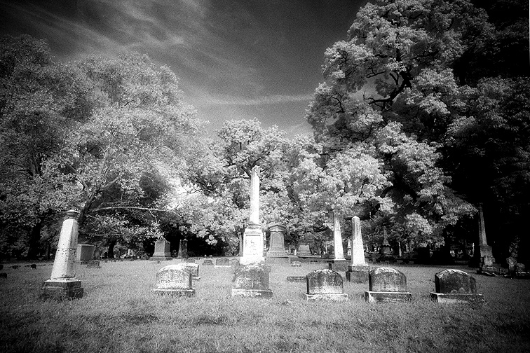 Greenlawn - by chuckv