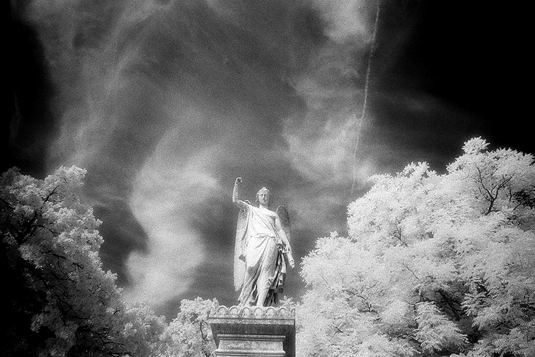 Greenlawn - by chuckv