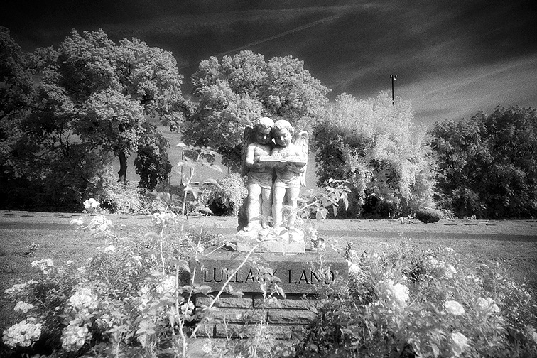 Greenlawn - by chuckv
