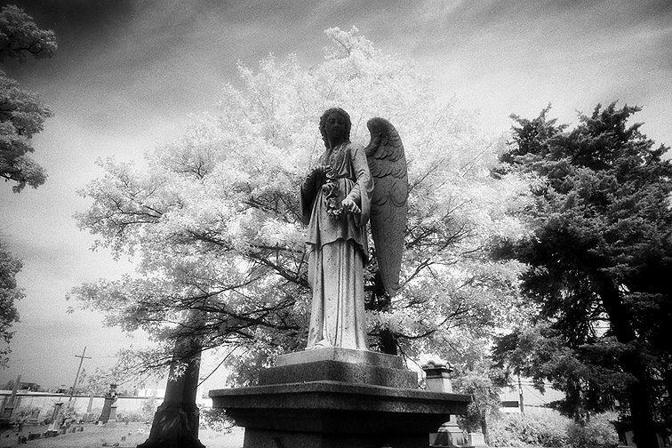 Greenlawn - by chuckv