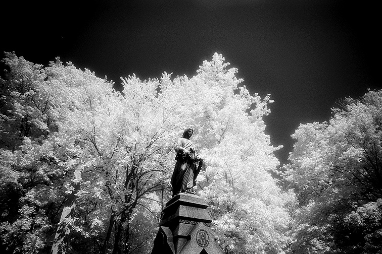 Lakeview - by chuckv
