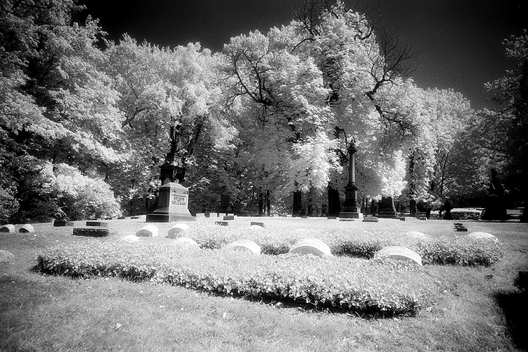 Lakeview - by chuckv