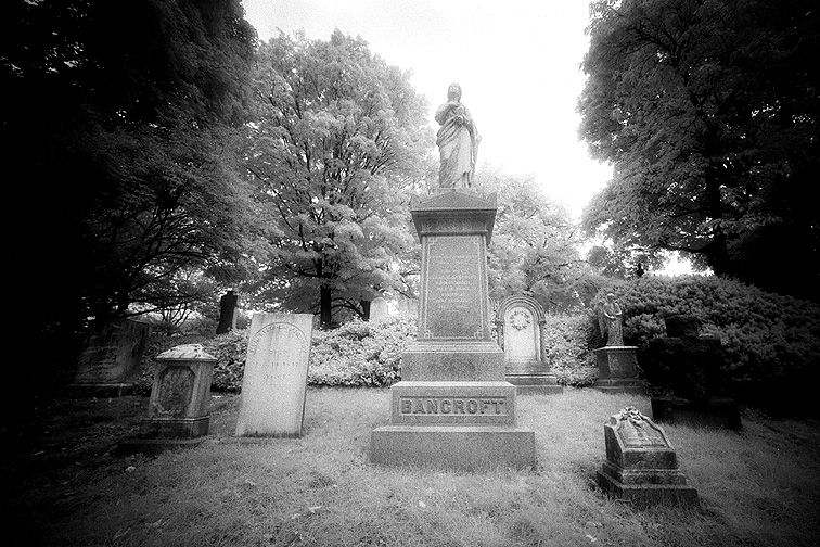Mt Auburn - by chuckv