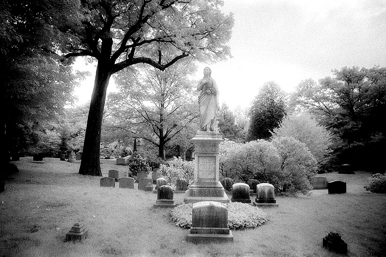 Mt Auburn - by chuckv