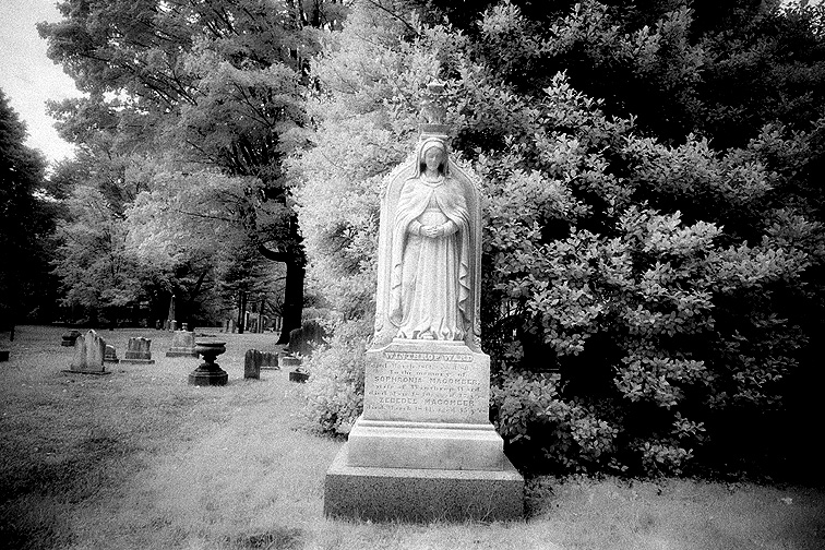 Mt Auburn - by chuckv