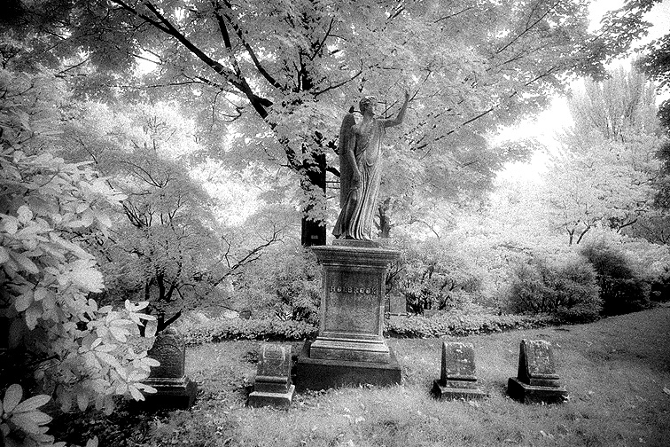 Mt Auburn - by chuckv