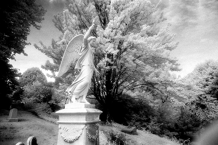 Mt Auburn - by chuckv
