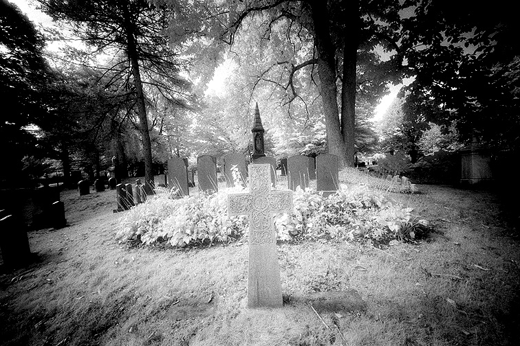 Mt Auburn - by chuckv