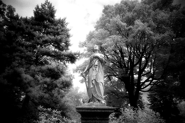 Mt Auburn - by chuckv