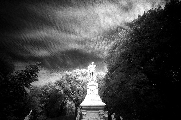 Mt Auburn - by chuckv