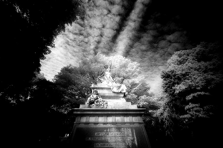 Mt Auburn - by chuckv