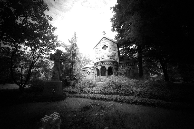 Mt Auburn - by chuckv