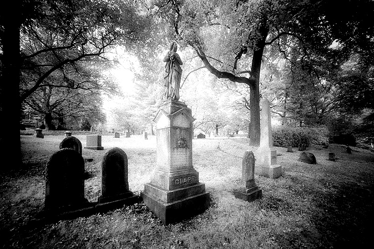 Mt Auburn - by chuckv