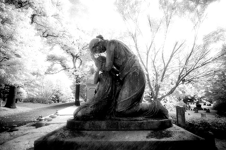Mt Auburn - by chuckv