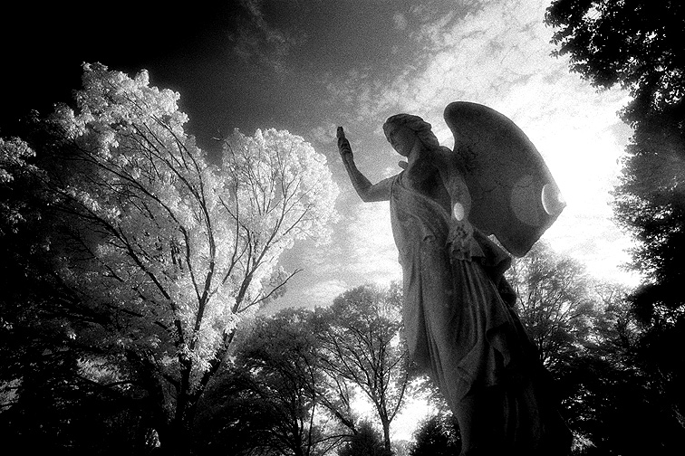 Mt Auburn - by chuckv
