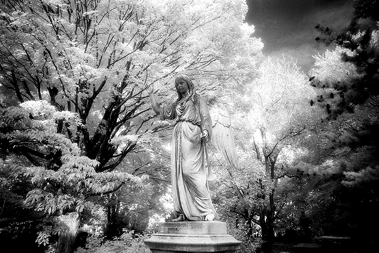 Mt Auburn - by chuckv