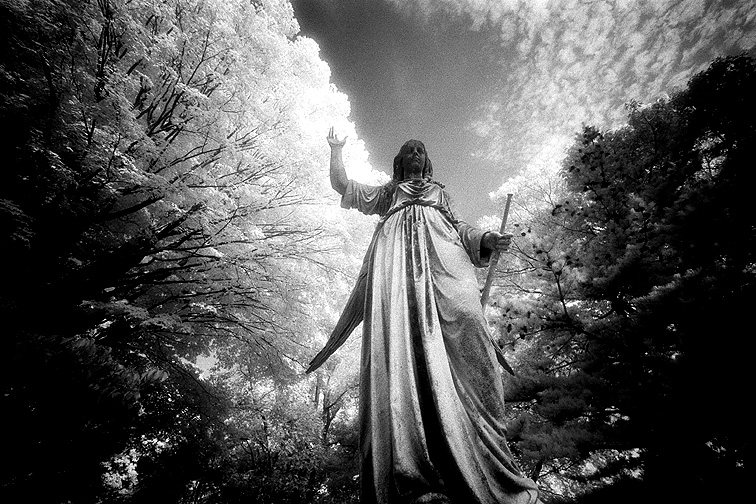 Mt Auburn - by chuckv