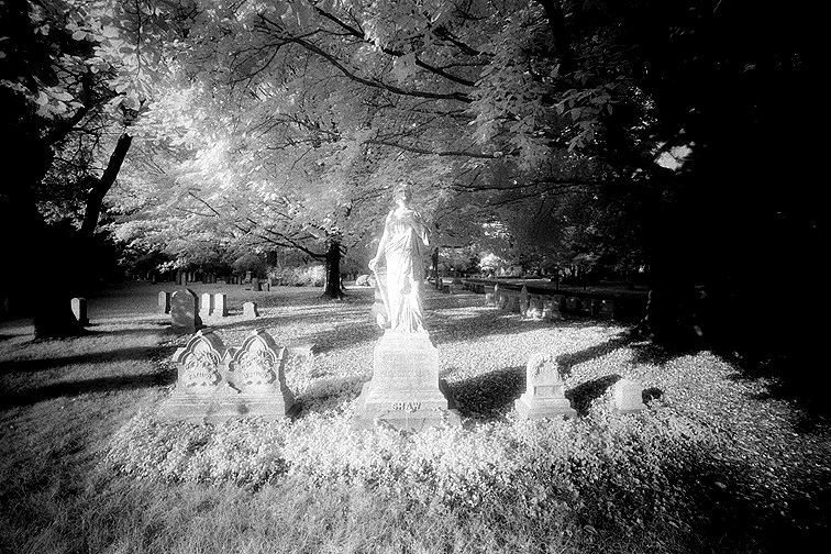 Mt Auburn - by chuckv