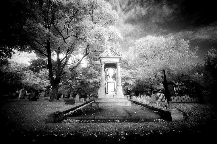 Mt Auburn - by chuckv