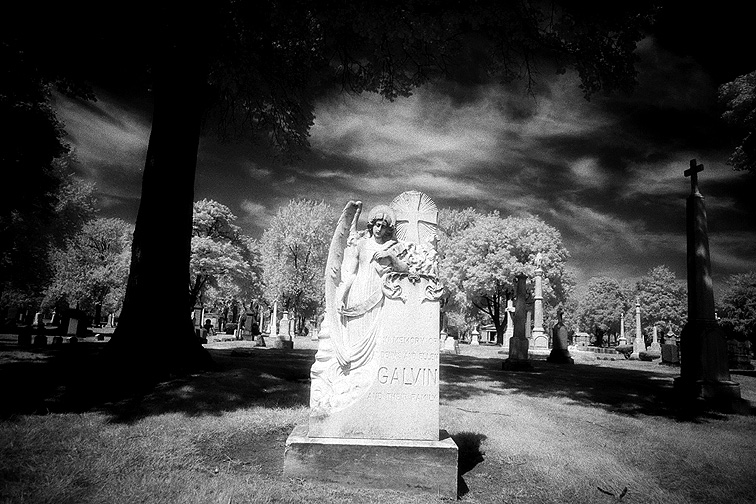 Woodlawn - by chuckv