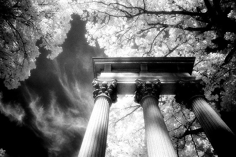Woodlawn - by chuckv