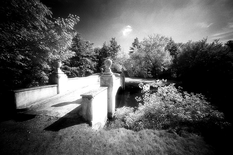 Woodlawn - by chuckv