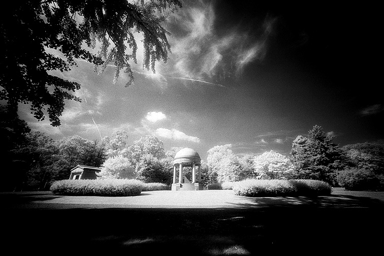 Woodlawn - by chuckv