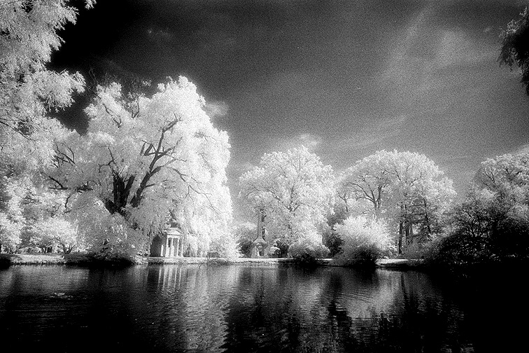 Woodlawn - by chuckv