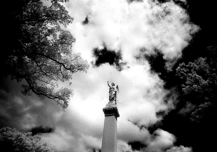 Arlington - by chuckv