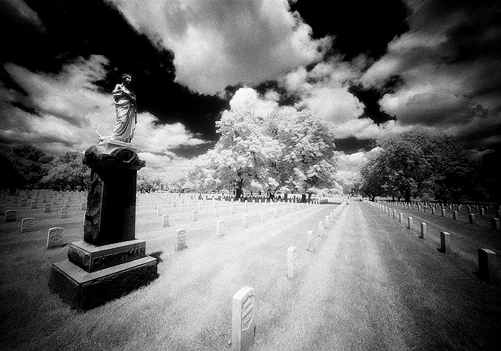 Arlington - by chuckv