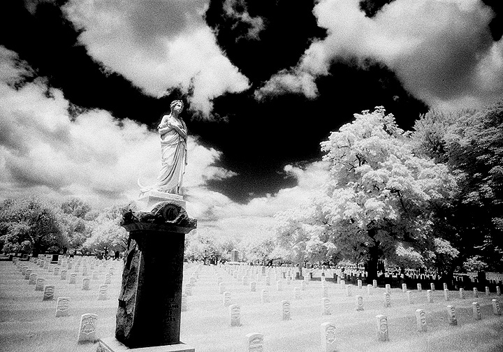 Arlington - by chuckv