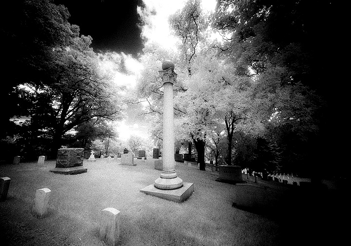 Arlington - by chuckv