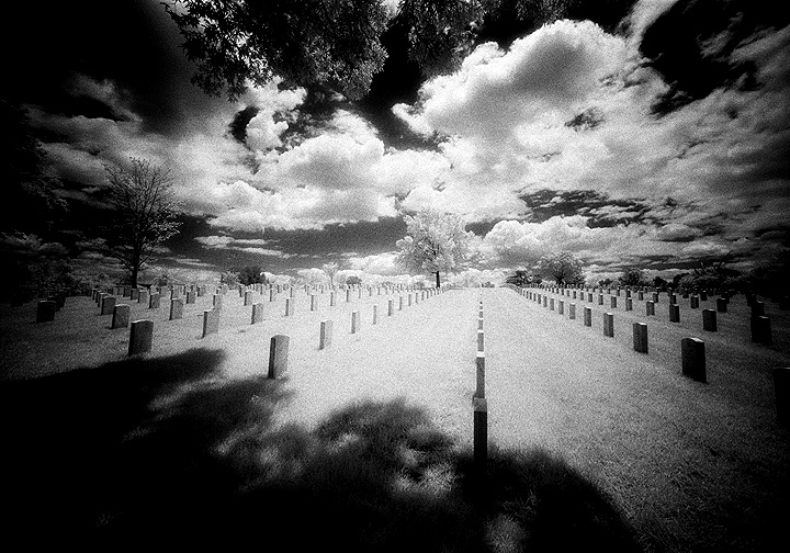 Arlington - by chuckv