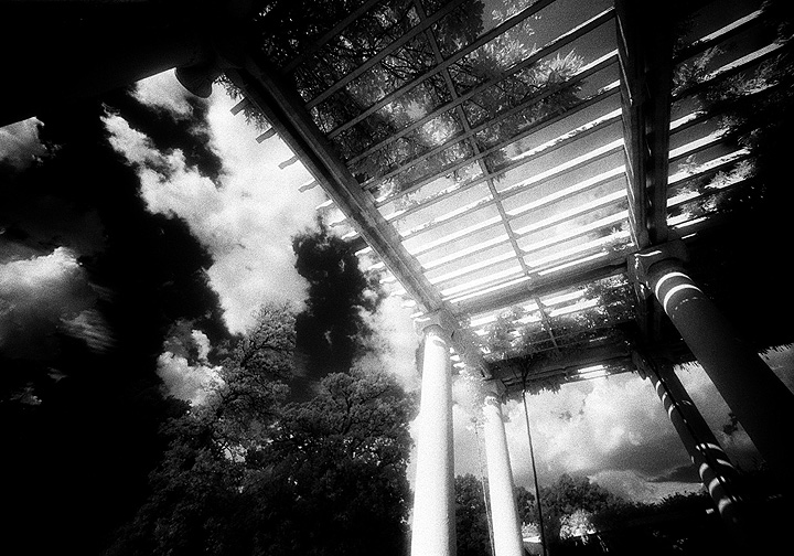 Arlington - by chuckv
