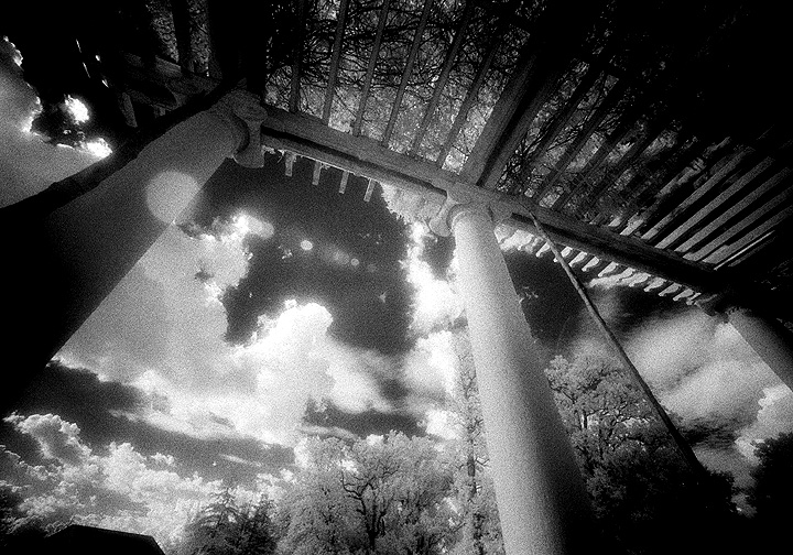 Arlington - by chuckv