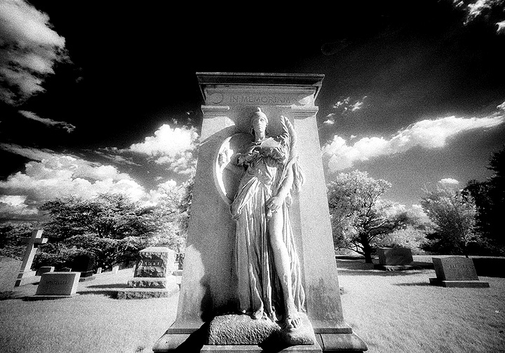 Arlington - by chuckv